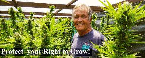 PROTECT YOUR RIGHT TO GROW!